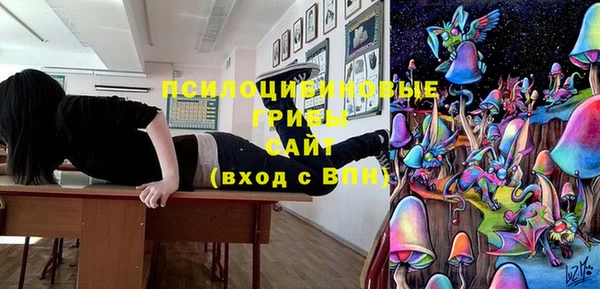 МДПВ Алзамай