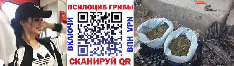 Псилоцибиновые грибы Cubensis  Назрань 